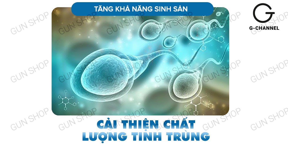  Nhập sỉ Maxman chính hãng cương dương kéo dài thời gian chống xuất tinh sớm hộp 10 viên chính hãng